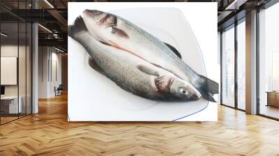 two sea bass - due spigole Wall mural