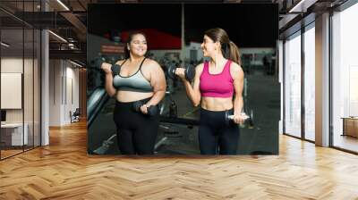 Smiling personal trainer and fat woman exercising Wall mural