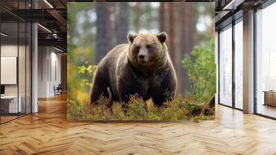 Big brown bear in a forest Wall mural