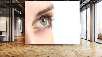 Close up of a green woman eye Wall mural