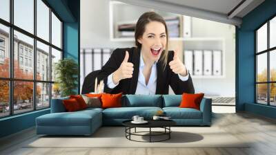 excited executive looking at camera with thumbs up Wall mural