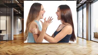 Two aggressive women arguing and shouting Wall mural