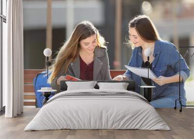 Two students studying comparing notes in a park Wall mural