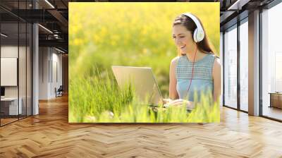 Woman working with a laptop in a field in summer Wall mural