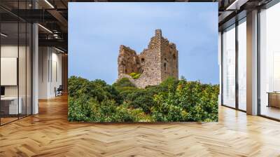 ruins of the castle Wall mural