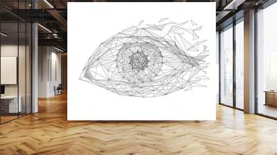 eye low poly wireframe isolated black on white background. abstract mash line and point origami. vec Wall mural