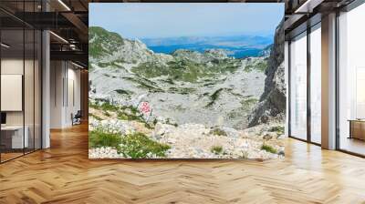 Durmitor National Park. Climbing on Bobotov Kuk Wall mural