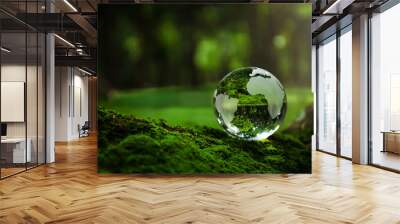 Crystal Earth On Soil In Forest With Ferns And Sunlight - Environment, save clean planet, ecology concept. Earth Day banner with copy space. Wall mural