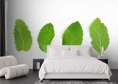 Mint leaf Wall mural