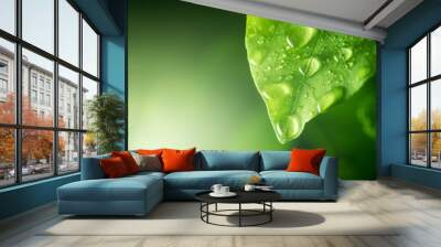 water drops on green leaf Wall mural