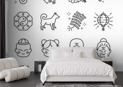 Chinese new year line icon set. Included the icons as firecracker, dragon, lion, dog, plum, fan, lamp and more. Wall mural