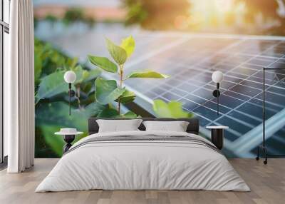 Solar panels with green plants, renewable energy technology and nature, bright sunset sky, sustainability Wall mural