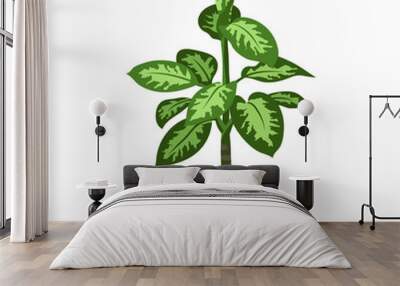 Potted indoor, office and house plant. A dieffenbachia in a pot. Isometric vector illustration Wall mural