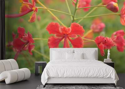 Flowers of a red hibiscus (chinese rose) Wall mural