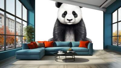 panda isolated on white Wall mural