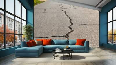 Surface of concrete driveway with crack Wall mural