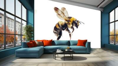 Set of bee flying isolated on a transparent background Wall mural