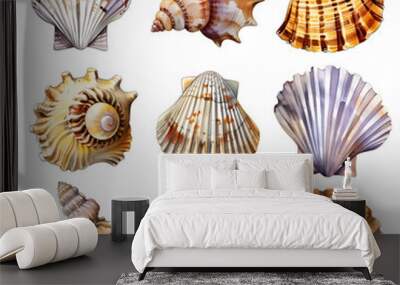 set of sea shells on white Wall mural