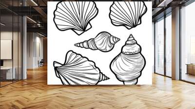 set of sea shells on white Wall mural