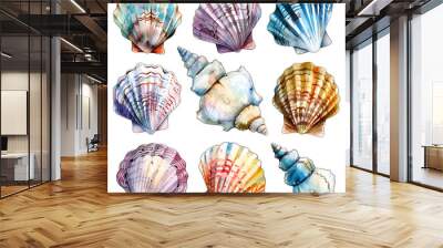 set of sea shells on white Wall mural