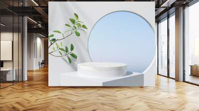 Geometric minimal scene, design for cosmetic or product display podium 3d render. Wall mural