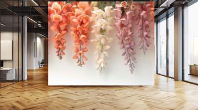 Beautiful cascading flower blossoms in shades of red, pink, and purple hanging against a white background, creating a serene and elegant display. Wall mural