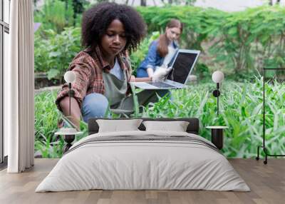 Young woman farmer uses laptop to analyze and research agricultural crops in a vegetable plot, Agriculture technology concept  Wall mural