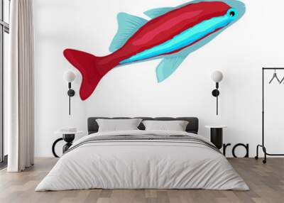 Aquarium fish Cardinal tetra vector illustration isolated on white background. Wall mural