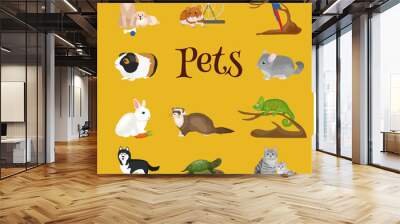 Home pets set, cat dog parrot goldfish hamster, domesticated animals Wall mural