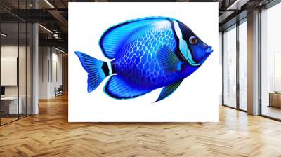 Blue tang fish (ocean marine animal) isolated on transparent background Wall mural