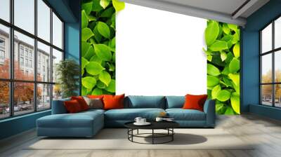 green leaf background. leaves texture. white blank sheet. Wall mural