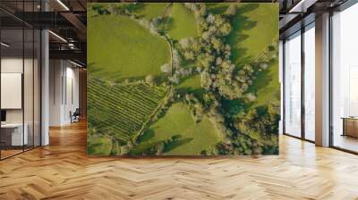  Trees and vineyards between meadows seen from the air. Wall mural