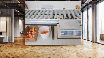 Single small roller conveyor used to transport fuit in crates insida a small warehouse. Digital scales and crates of apples seen next to the conveyor. Wall mural