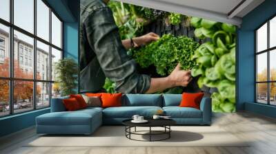 Person harvesting fresh greens from a vertical garden Wall mural