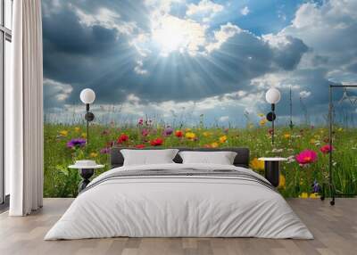 Colorful Wildflower Field Under Dramatic Sky Wall mural