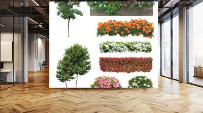 Collection plant isolated on white background  Wall mural