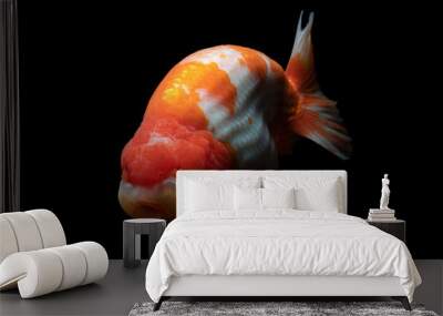 Gold Fish isolated on black background Wall mural