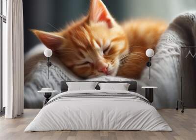 Cute ginger kitten sleeping on a soft blanket. Close up. Wall mural