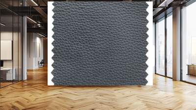 black leather samples texture isolated with clipping path for mockup Wall mural