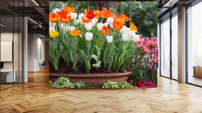 colorful tulips in a flower pot Wall mural