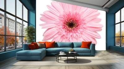 pink gerbera flower isolated with clipping path Wall mural