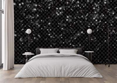 falling snow flakes banner. white snowflakes flying in the air. snow flakes, snow background. winter Wall mural