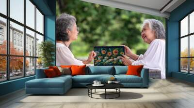 Elderly women are sitting at a wooden table outdoors looking at a laptop screen that image of colorful donuts pointing at the screen while the other smiles is engaged in a friendly concept Wall mural