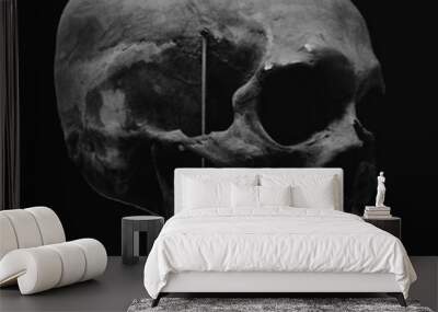 skull and crossbones,anatomy,humanity,black and white Wall mural