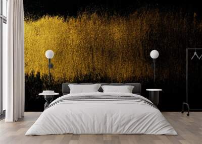 Golden Traces of a Stroke with an Acrylic Paint . Wall mural