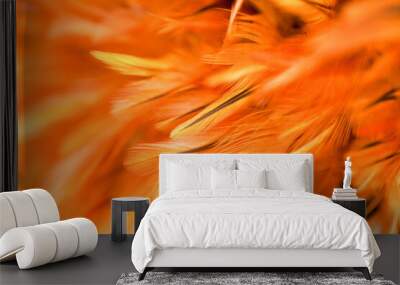 Beautiful chicken feather texture abstract background for design Wall mural