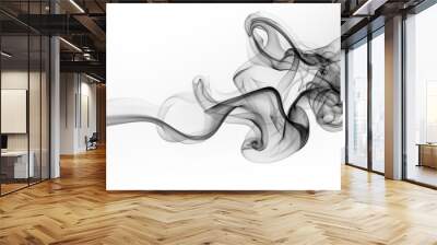 Black smoke abstract on white background, movement of ink water Wall mural