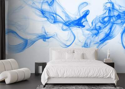 Blue smoke abstract on white background. movement of ink water on white Wall mural