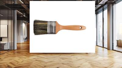 Clean new paint brush isolated on transparent background. Wall mural