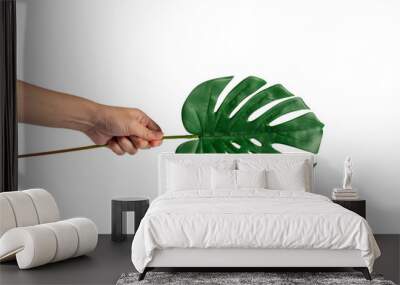 Human hand holding Tropical Monstera palm leaf isolated on transparent background Wall mural